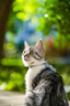 适马（SIGMA）Art 50mm F1.4 DG DN 全画幅微单 大光圈定焦镜头 人像肖像（索尼E卡口） 实拍图