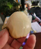 京鲜生广东桂味荔枝 净重2斤装 单果12g+ 生鲜水果 源头直发包邮 实拍图
