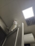 丸丫宠物狗狗围栏栅栏栏杆室内防挡猫门栏猫咪拦狗笼子大小型犬隔离门 实拍图