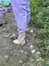 熊火女士下水裤赶海装备大人水裤下半身涉水服全身防水雨裤带雨鞋连体 女款紫色下水裤【3D修身】 40 实拍图