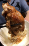 龙大肉食 红烧猪小蹄膀2斤+红烧料汁*2包组合装 猪肘子 猪蹄膀 红烧食材 实拍图