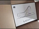 LOXKI/洛克斯基【明星同款】板鞋子男潮流经典百搭休闲鞋男 小圆鞋Lite 米白灰 45 实拍图