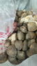 鲜活蛤蜊海捕无沙新鲜花甲贝类生鲜花蛤超大美贝蚬子海鲜水产顺丰 鲜活共5斤（3斤送2斤） 实拍图