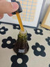 透真油橄榄修复精华液皮肤屏障受损泛红敏感舒缓修护原液祛痘收缩毛孔 实拍图