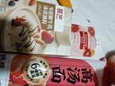 展艺零蔗糖牛乳冰淇淋粉100g甜筒雪糕奶球夏季冷饮冰激凌粉商用家用 实拍图