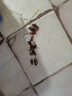 DR.RILEY除虫菊素杀虫剂气雾喷家用室内非无毒驱蚊液蟑螂药灭跳蚤100ml 实拍图