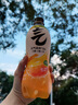 轻上红石榴血橙汁复合果蔬汁饮料添加胶原蛋白肽维e果汁245ml*10瓶 实拍图