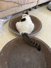 【京东物流】猫抓板磨爪猫窝一体耐磨不掉屑超大号猫玩具猫咪用品 椭圆小号+猫薄荷 实拍图
