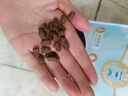 怡亲（YOKEN）成猫粮去毛球布偶蓝猫橘猫英短猫咪鸡肉味7.5kg15斤/袋全价猫干粮 实拍图