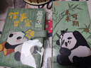 佐澜哲熊猫搭扣笔记本本子高颜值手账本记事本旅游打卡盖章空白本集章本学生考研记单词本记录本日记本 实拍图