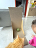 hoopet猫玩具猫薄荷球自嗨解闷磨牙洁齿神器猫猫小猫逗猫棒宠物猫抓板猫咪用品大全超大啃咬逗猫球 10cm猫薄荷球  自嗨利器 实拍图
