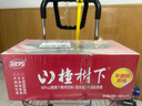 冠芳 山楂树下冠芳山楂树下山楂汁饮料山楂果汁整箱饮料营养饮料果汁营养饮品 5月新货350ml*15瓶(无蔗糖) 实拍图