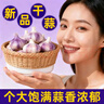 静益乐源山东紫皮蒜大蒜干大蒜蔬菜批发干蒜自种大蒜种子多瓣蒜当季蔬菜 精品大蒜【45mm中果】净重4.5斤 精选今年大蒜 实拍图