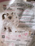 皇家皇家幼猫猫粮 幼猫专用 K36 通用粮 4-12月 400g 实拍图
