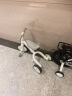 babycare儿童三轮车平衡车脚踏车婴儿宝宝儿童二合一学步车1-5岁 辛德白 实拍图