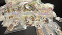 乐创（lecon）烘干机食物干果机宠物零食食品烘干机肉类水果蔬菜冻干机家用烘干箱商用药材 【私房工作室】20层 带灯(烘干量约40~60斤) 实拍图