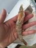 口水时代 盐冻海捕青岛大虾20/30大号鲜活冷冻白虾青虾对虾基围虾海鲜水产 15-17cm大虾 3斤(净重)  整箱发货 实拍图