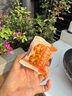 三只松鼠红枣山药核桃饼250g 休闲零食早餐食品下午茶点心代餐中式糕点 实拍图