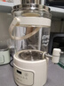 小熊（Bear）养生壶 养生桶花茶桶 水龙头烧水壶煮茶器煮茶壶 玻璃花茶壶电热水壶 3L大容量ZDH-F30F1 实拍图