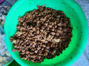 耐威克耐威克狗粮 莱茜肉松全价犬粮200g 鸭肉梨配方清热降火 实拍图