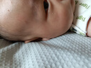 松达婴儿面霜宝宝保湿润肤霜儿童山茶油补水特护霜98g 实拍图