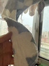 洁丽雅（Grace）干发帽 7A级抗菌强吸水 加厚包头巾雪花绒擦头发浴帽速干毛巾 实拍图