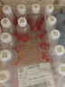 依能 西柚味 无糖无汽弱碱苏打水饮料 500ml*24瓶 塑膜装 饮用水 实拍图