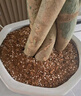 德沃多肥料蔬菜营养土15L带肥料 园艺种菜土壤阳台盆栽蔬菜通用型种植基质土 实拍图
