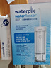 洁碧（Waterpik）冲牙器便携式电动洗牙器水牙线洁牙器家用立式预防牙结石正畸适用全身水洗GS7礼物牙齿冲洗器 实拍图