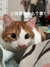 雪貂留香猫咪专用香波 四效合一宠物香波沐浴露 抑菌止痒浴液500ml 实拍图