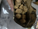 食验室厚厚奶酪全麦面包丁面包干休闲零食芝士膳食纤维非油炸小饼干120g 实拍图