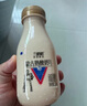 兰格格 草原酸奶 蒙古炭烧熟酸奶210g*6 生鲜低温老酸奶 实拍图