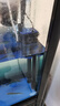 格池（GRECH）格池潜水泵三合一净水增氧过滤水泵鱼缸过滤器循环水泵CQJ-900G 实拍图