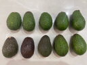 潇月月进口牛油果5个单果130-160g 新鲜健康轻食 实拍图