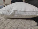 全季五星级酒店专用羽丝绒枕头护颈助睡眠枕头颈椎枕成人枕头 酒店同款羽绒枕 A类 单只 高枕 单枕【睡后10-12cm左右】 实拍图