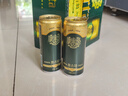 青岛啤酒（TsingTao）奥古特330ml*24听 整箱装 实拍图
