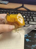 冉沃优选贝贝南瓜新鲜蔬菜软糯香甜细腻小南瓜粉糯轻食正宗南瓜山东 【新品尝鲜】即食南瓜净重 500g 实拍图