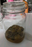 喜碧（Scybe）密封罐 泡酒容器玻璃密封罐泡菜坛子泡青梅酒罐潘多拉1800ml 实拍图