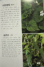 1000种常见植物野外识别速查图鉴（精装、全彩图解、铜版纸） 实拍图