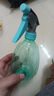 喷壶浇花浇水喷雾器气压式喷水壶家用园艺养花500ml 南瓜喷壶透蓝【1个装】 实拍图