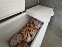 澳柯玛（AUCMA）冰柜商用大容量518升以上单温冷藏冷冻两用冷柜双开门卧式冰箱雪糕柜超市便利店商店冻肉保鲜柜 -38度深冷丨细胞级保鲜丨省电静音丨 728L 实拍图