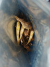 京东京造香酥小黄鱼100g 即食海鲜小吃小鱼干零食独立包装孕妇高蛋白 实拍图