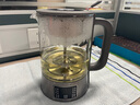 小熊（Bear）养生壶 1.2L大容量煮茶器煮茶壶 316L不锈钢喷淋蒸茶壶泡茶壶 煮茶烧水一体 ZCQ-D12L6 实拍图