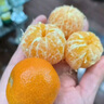 京鲜生 进口小蜜橘/蜜桔净重3斤装 单果40g起 柑橘桔子 新鲜水果 实拍图