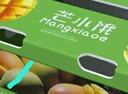 京鲜生 海南树熟贵妃芒 4.5斤礼盒装150g起 生鲜水果 源头直发 实拍图