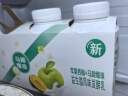 伊利【李现推荐】畅轻低温酸奶生牛乳苹果西梅马蹄爆珠250g*4酸牛奶 实拍图