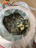 仙第茉莉花茶2025新茶浓香型茶叶自己喝品质茉莉花茶年货礼盒送领导 【自饮装】 金奖茉莉花茶 大红罐500g 实拍图