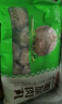 安井 撒尿肉丸 300g/包 火锅麻辣烫关东煮丸子 速食熟食方便菜食材 实拍图