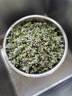教蔬鲜生【顺丰直达】韭菜花新鲜现摘山东头茬嫩半仔韭花酱蘸料花朵苞 1000g 实拍图