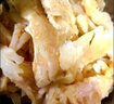 正宗牛蹄筋去骨八成熟火锅食材新鲜水发牛筋黄牛牛筋火锅串串食材 AAA牛蹄筋3斤装 实拍图